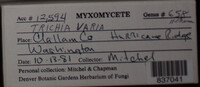Image Associated With the Occurence